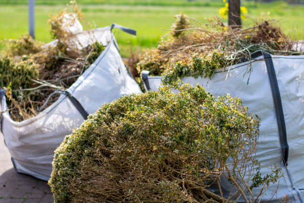 Best Dumpster Rental Services  in Annapolis, MD